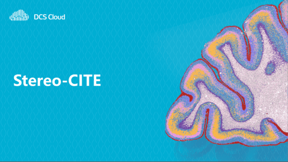 Stereo-CITE