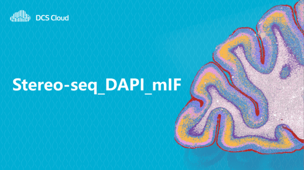 Stereo-seq_DAPI_mIF