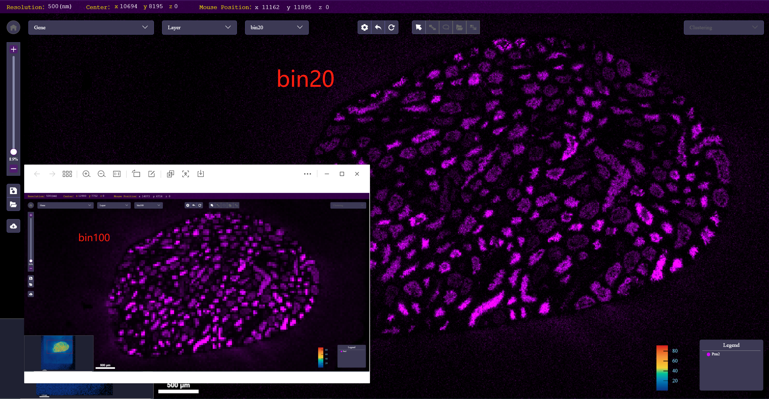 不同binsize基因/蛋白多颜色图对比